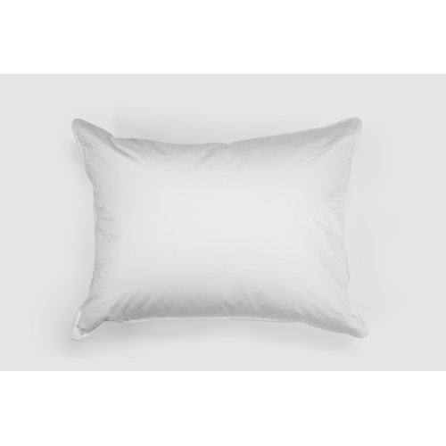 Arsuite Down Firm Pillow Wayfair